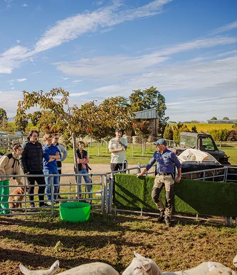 Where the Food Begins